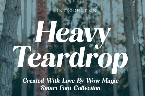 Heavy Teardrop: A Bold Serif Font for Premium Brand Identities